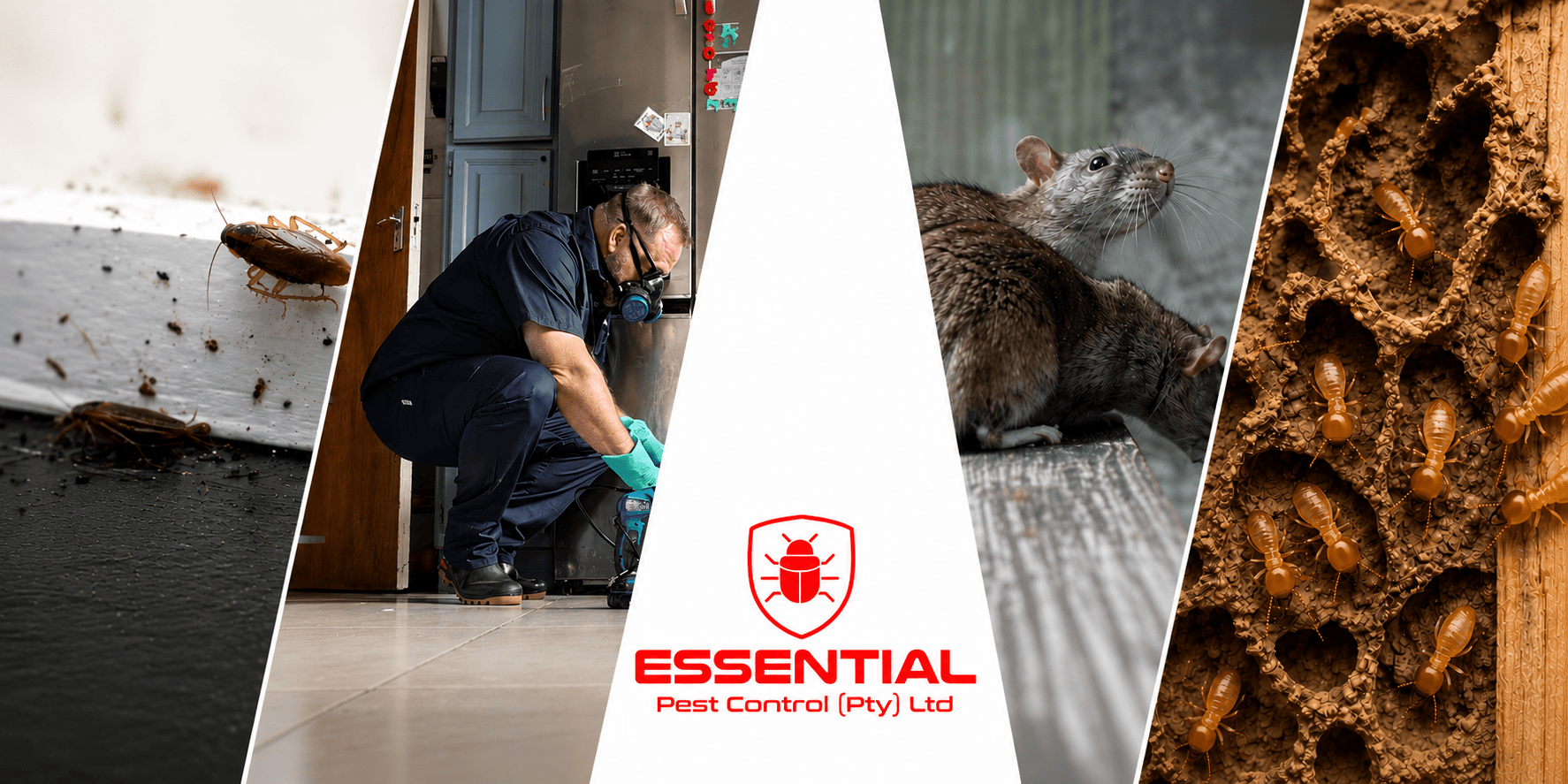 Modern residential home protected by Essential Pest Control