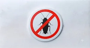 Cockroaches