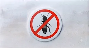 Termite Proofing