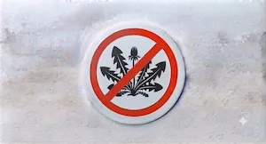 Weed Control